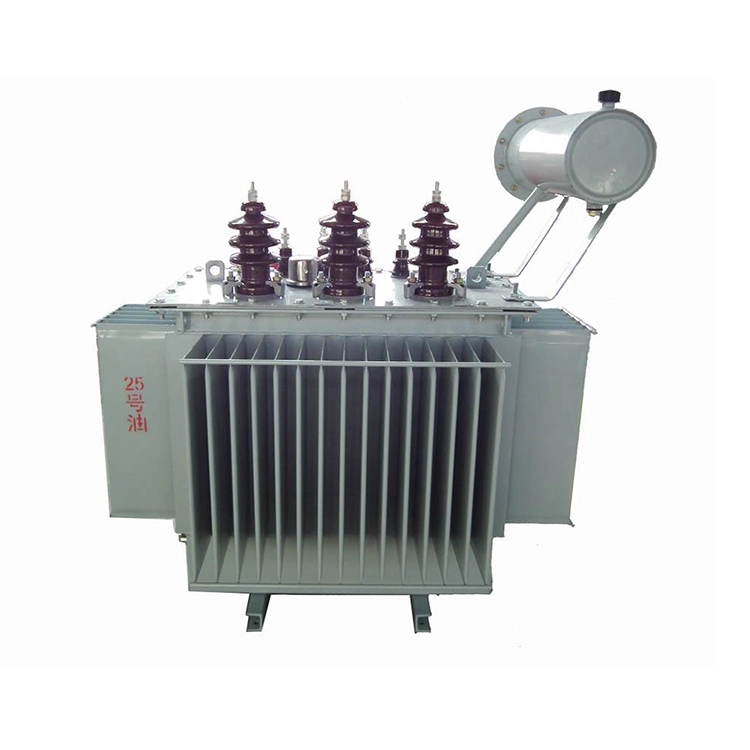 Trasformatore ONAN a bagno d'olio da 100 Kva 11 Kv Trasformatore ONAN a bagno d'olio da 100 Kva 11 Kv