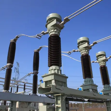 Interruttore sotto vuoto stampato ad alta tensione da 11 kV